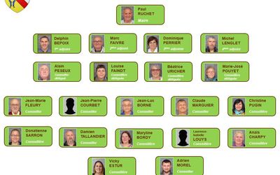 organigramme conseil